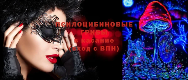 герыч Мегион